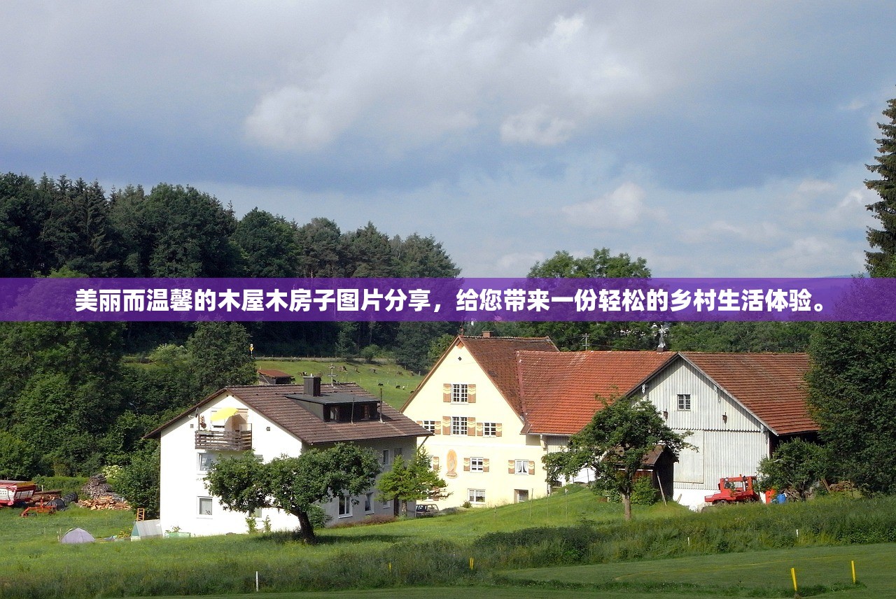 2024新澳天天开好彩大全78期|精确数据助你赢得胜利_迷你款.0.325