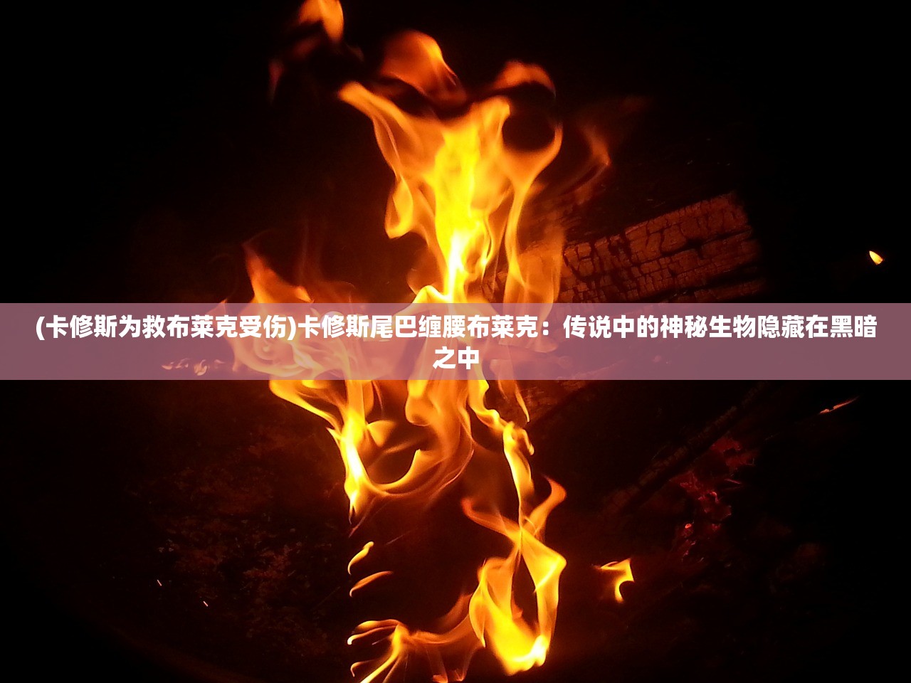 香港王中王开奖结果一肖中特|预测解答解释落实_强力版.3.874