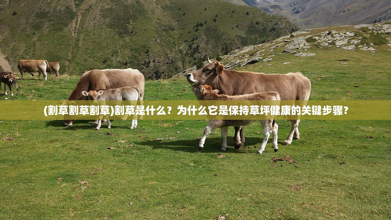 (联盟崛起三国怎么玩)联盟崛起三国，群雄争霸的时代背景与策略分析
