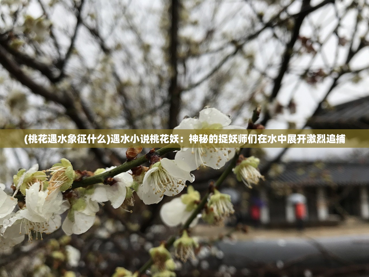 (漫天花雨套装效果实测)漫天花剑雨游戏，一场视觉与策略的双重盛宴
