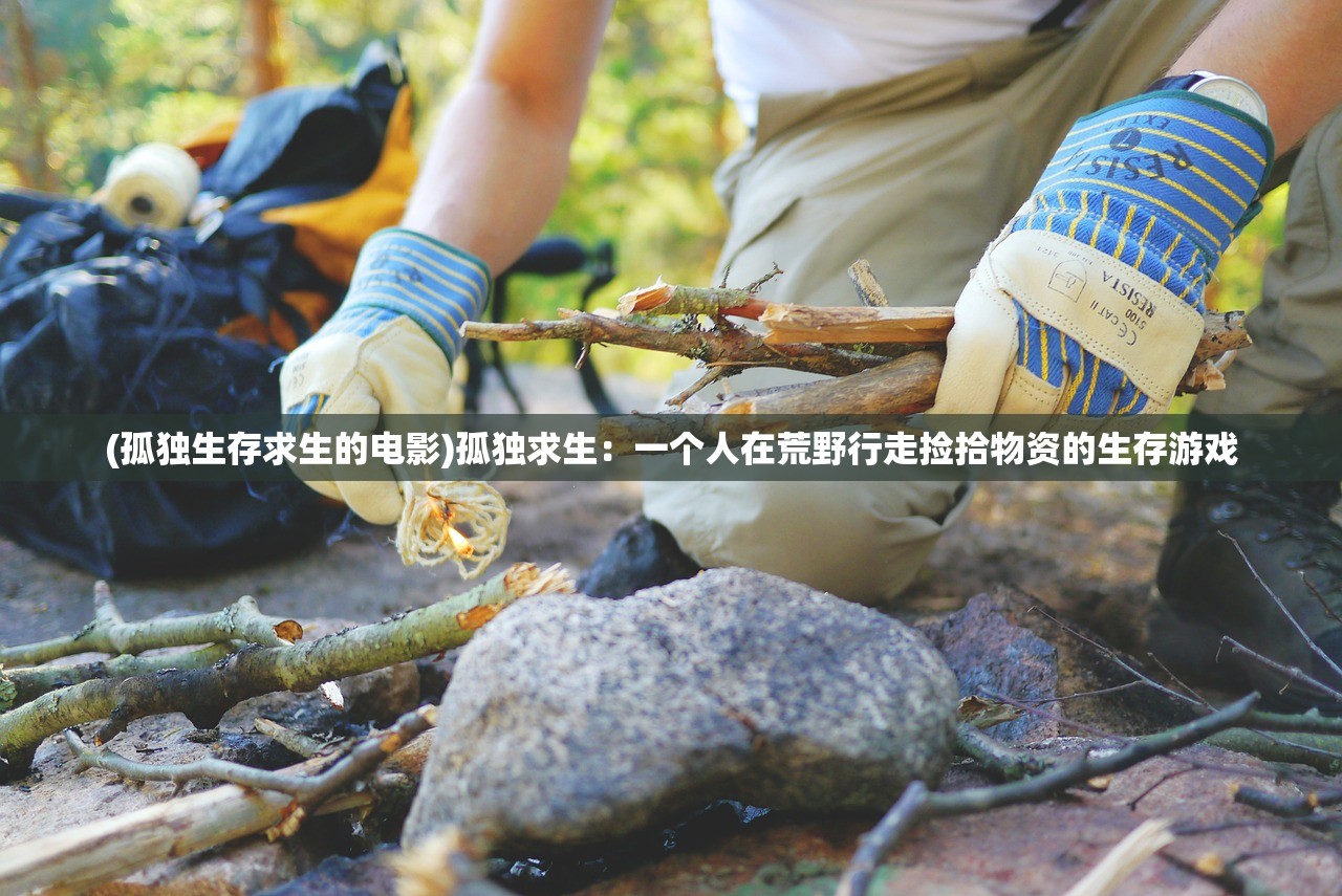 2024新澳三期必出三生肖|重要性解释落实方法_现实版.9.23