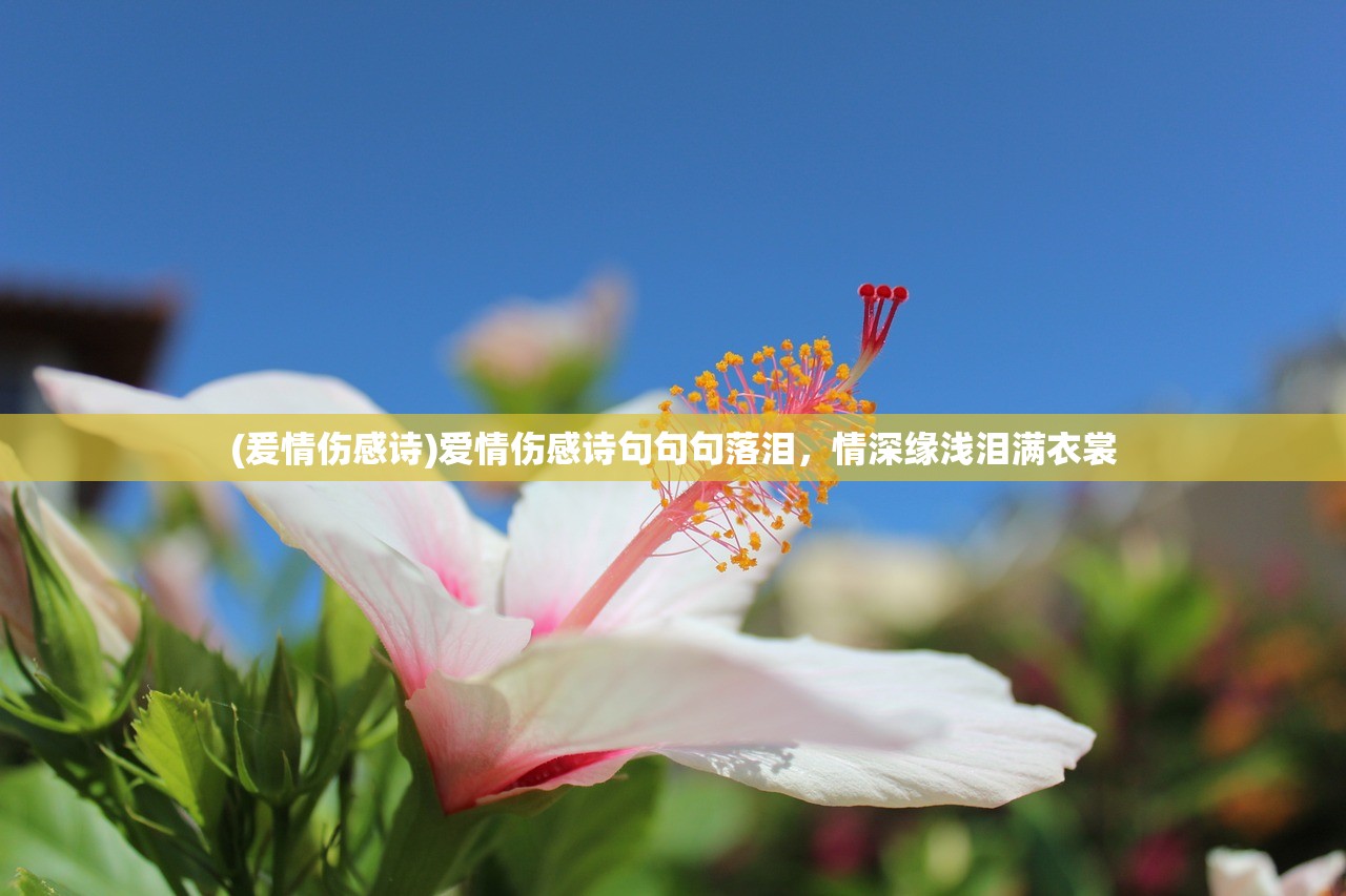 (爰情伤感诗)爱情伤感诗句句句落泪，情深缘浅泪满衣裳