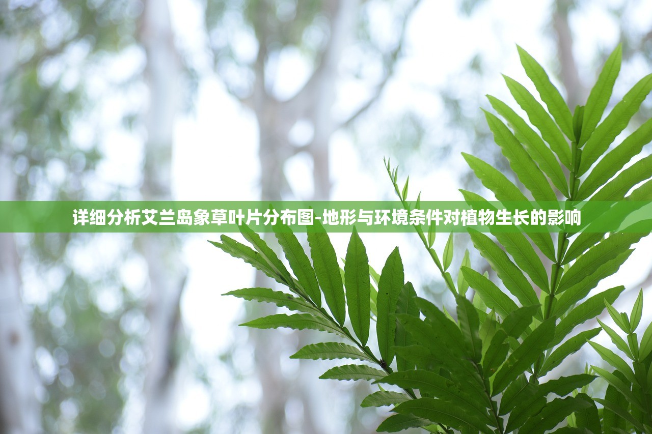 (王国纪元破解版)王国纪元辅助工具，免费挂机新体验