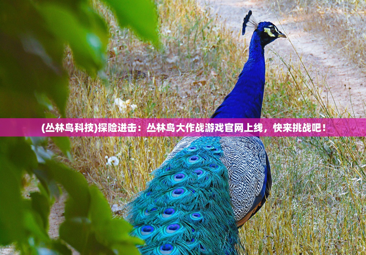 2024年澳门天夭好彩51期|定量解答解释落实_PS.9.62 2024年澳门天夭好彩51期|定量解答解释落实_PS.9.62