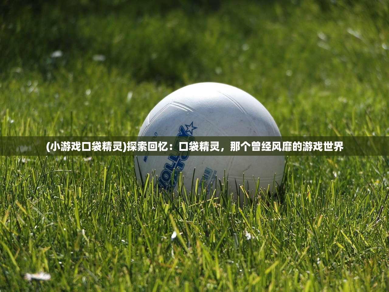 2024澳门天天开好彩大全开奖结果|预测分析解释落实_iShop7.894 2024澳门天天开好彩大全开奖结果|预测分析解释落实_iShop7.894