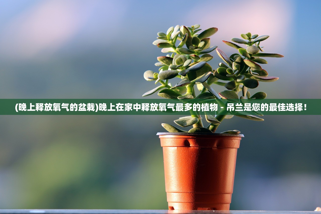 澳门一码一码100准免费|科学分析解释落实_汉化版.7.436 澳门一码一码100准免费|科学分析解释落实_汉化版.7.436