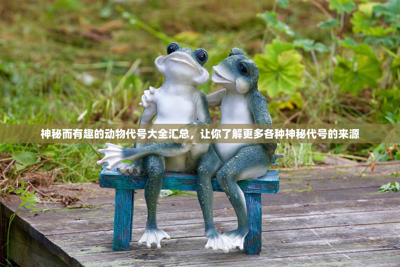2024新奥历史开奖记录19期|保障成语理解的准确性_终点版.4.578