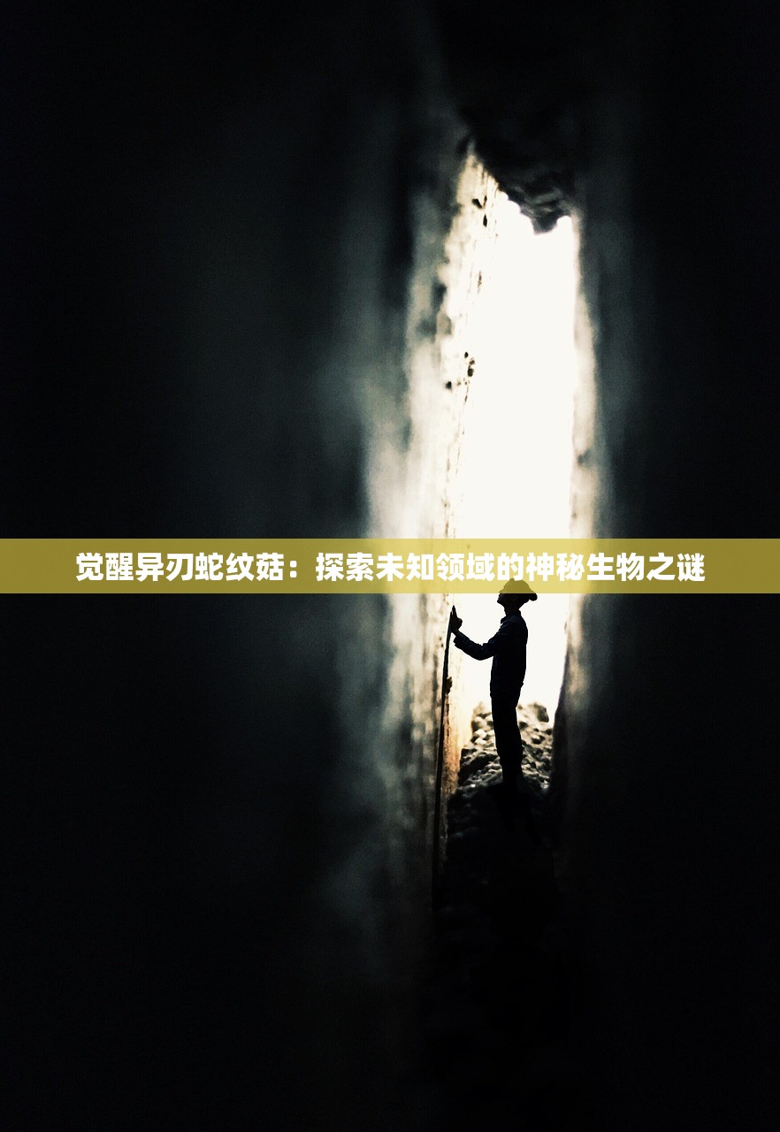 (说句欢迎光临什么歌)说欢迎光临是什么歌？网友们猜测流行曲？