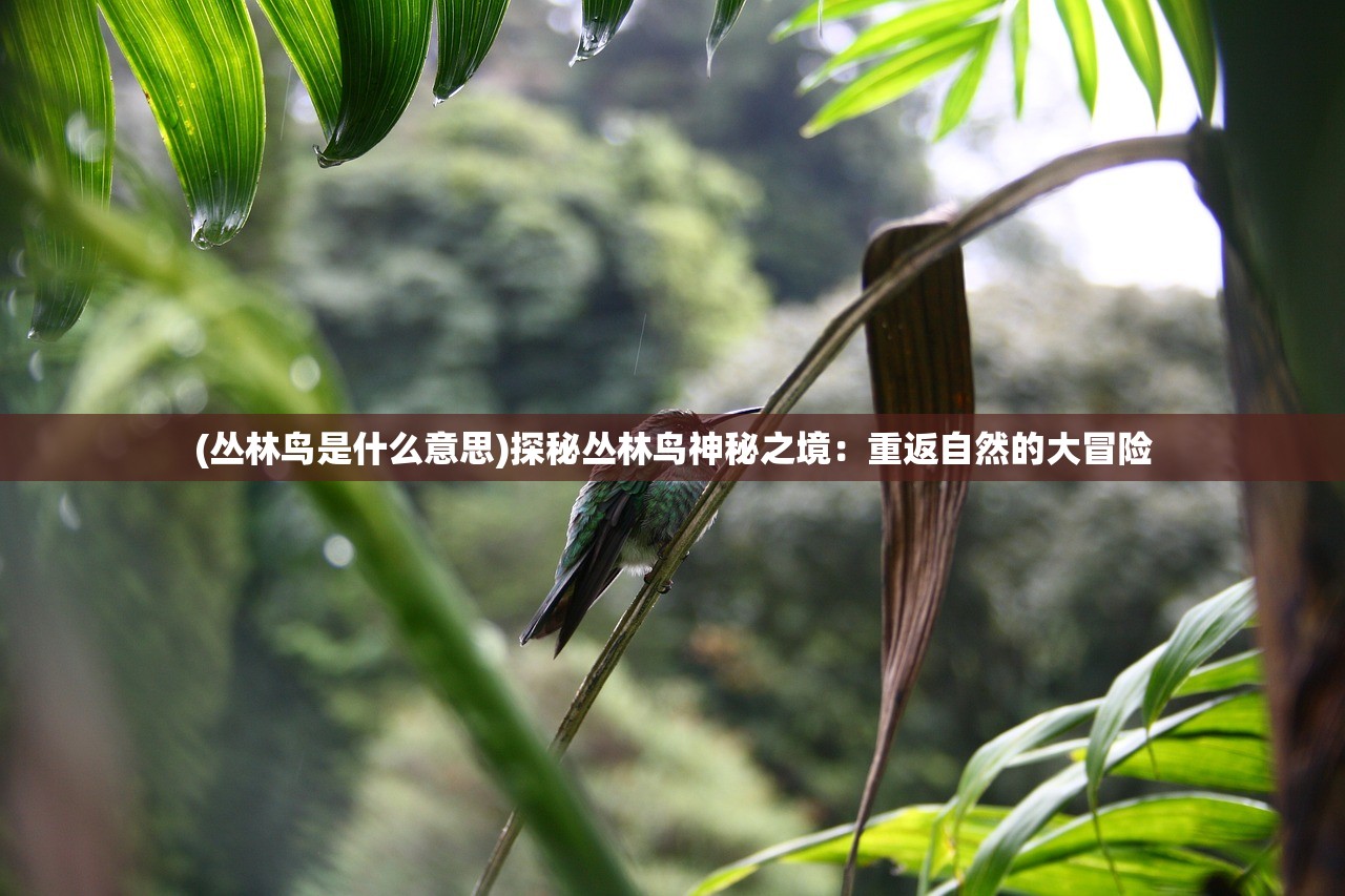 (封神榜国际版灵宠灵力值怎么增长到300)封神榜国际版灵宠之愿：穿越时空的神秘冒险故事