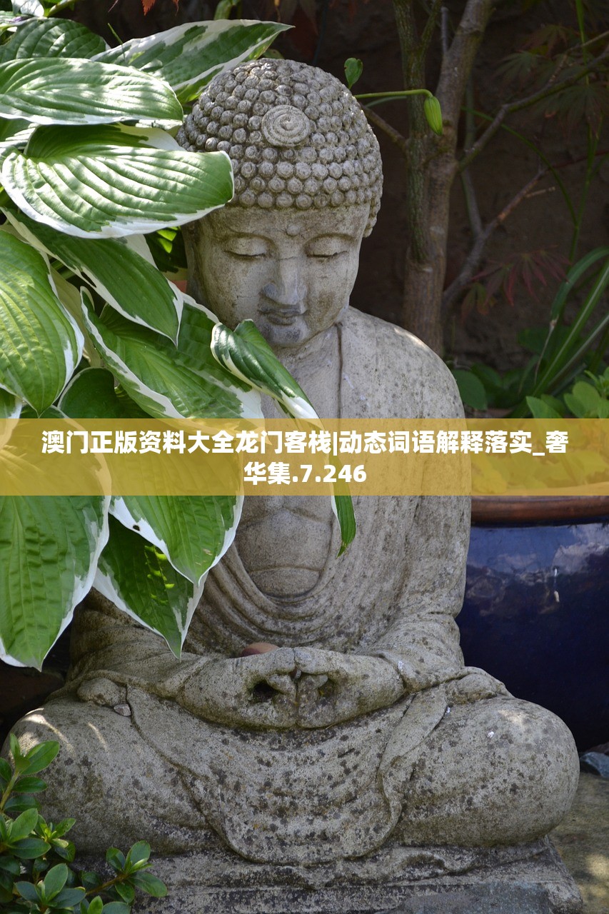 澳门正版资料大全龙门客栈|动态词语解释落实_奢华集.7.246 澳门正版资料大全龙门客栈|动态词语解释落实_奢华集.7.246