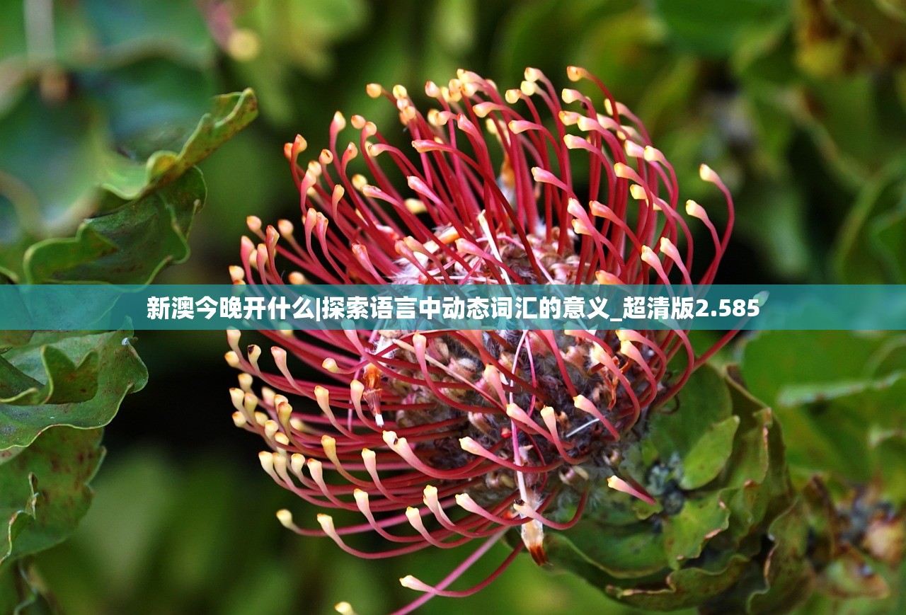 (同舟共济拼音正确写法)同舟共济的拼音及其内涵解析 (同舟共济拼音正确写法)同舟共济的拼音及其内涵解析