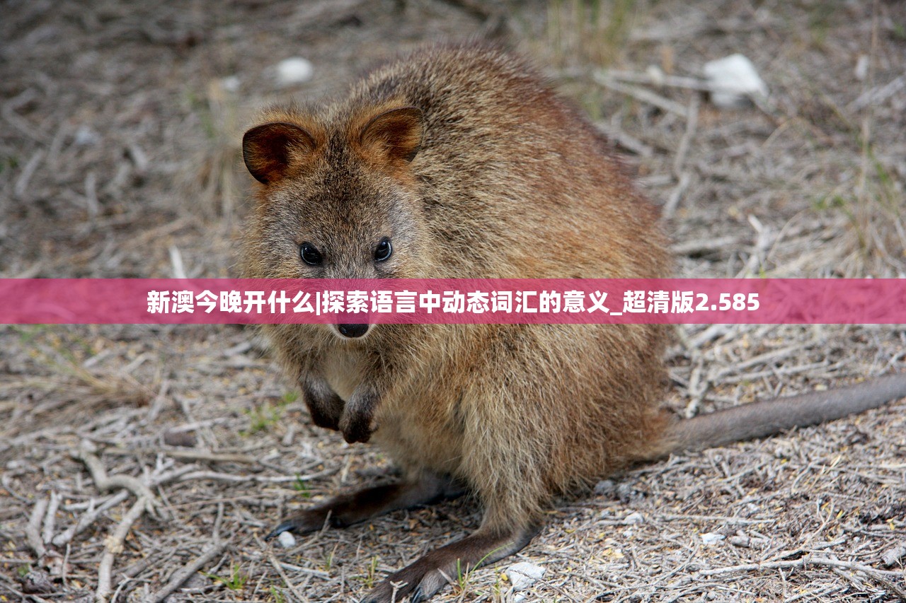 (欢乐三国志在线收听)蔡康永与欢乐三国志，跨界融合的魅力探索