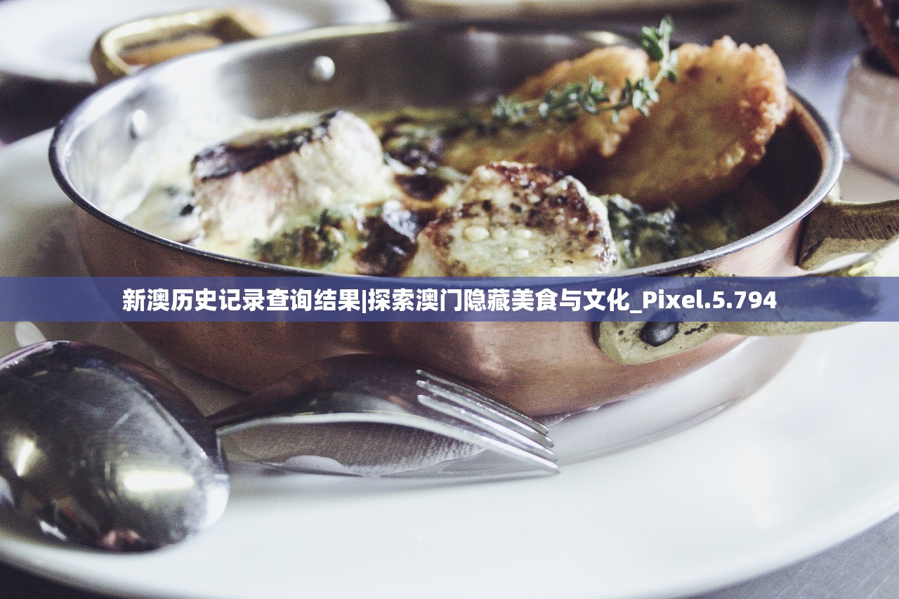 新澳历史记录查询结果|探索澳门隐藏美食与文化_Pixel.5.794