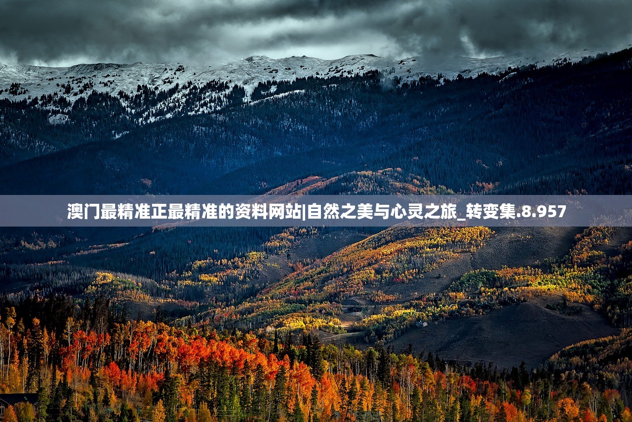(王安宇的个人资料简介)王安宇的书法风采惊艳全网，独具匠心令人惊叹