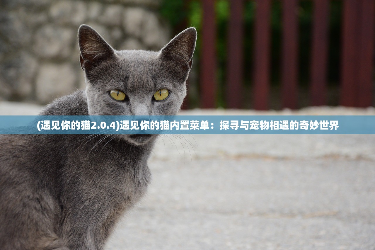 (黑夜破晓)《白夜破晓》烂尾引弃剧潮：观众识破剧情先免负荷