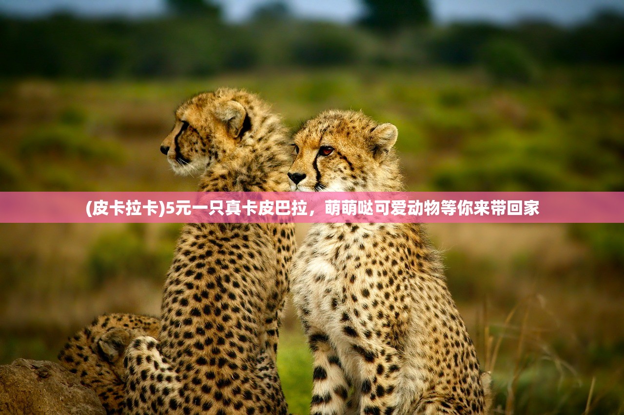 (传奇6大重装地图入口)传奇暗之BOSS位置详解，揭秘隐藏副本与挑战攻略