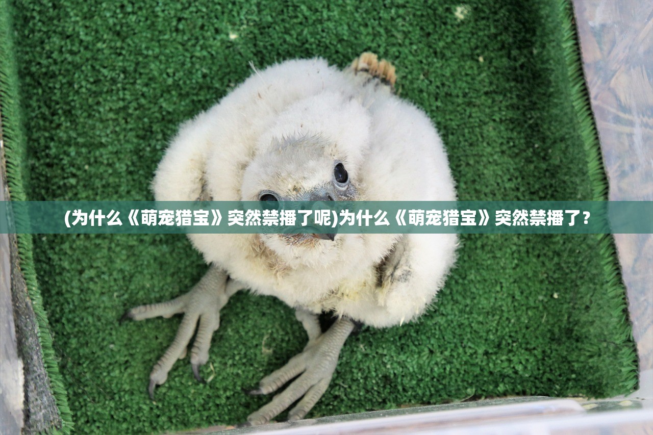 (为什么《萌宠猎宝》突然禁播了呢)为什么《萌宠猎宝》突然禁播了？