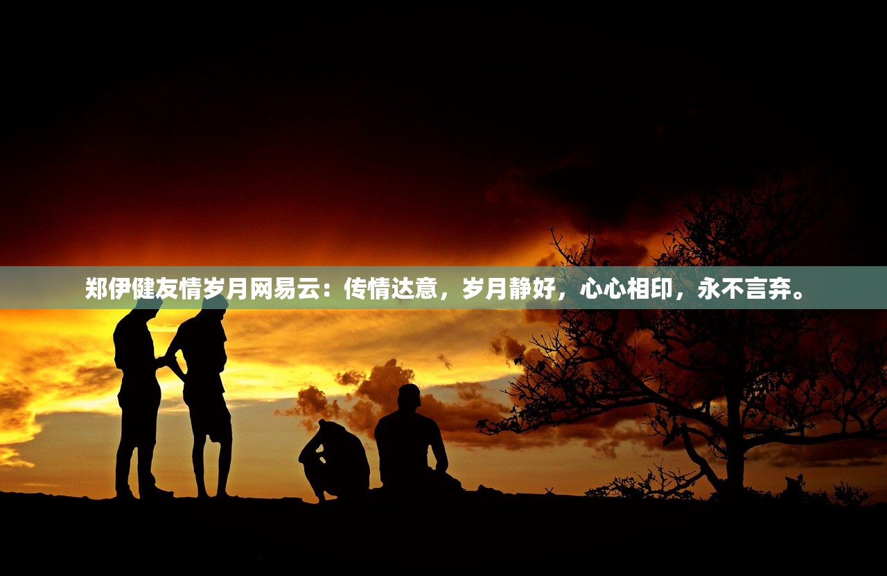 (宅怨游戏攻略第一章星盘)宅怨游戏全攻略，从新手到高手的进阶之路