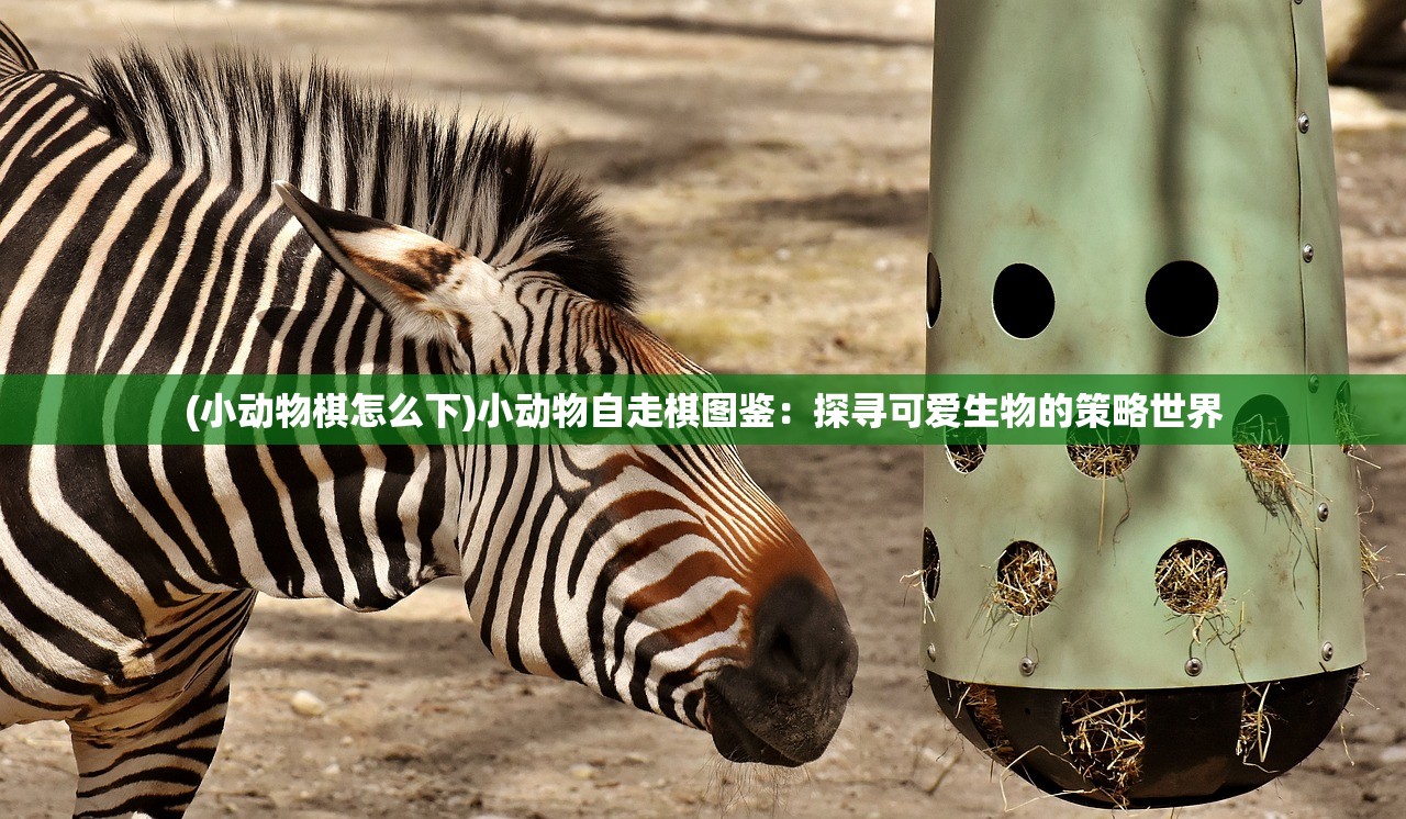 (天命起源开服)天命起源，哪个平台能体验这款游戏？