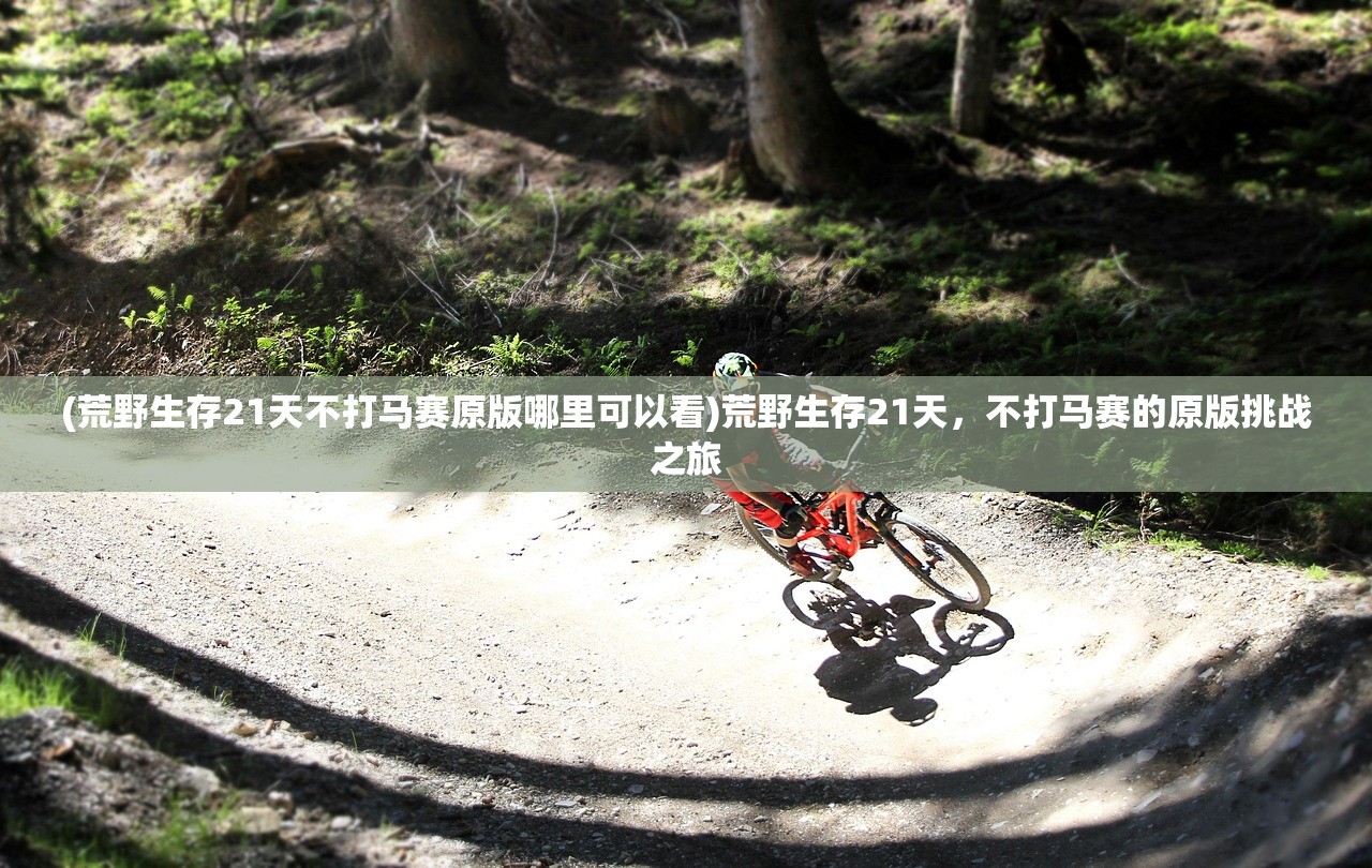 (文字江湖百科)文字江湖mud大全，探索虚拟世界的无尽奥秘