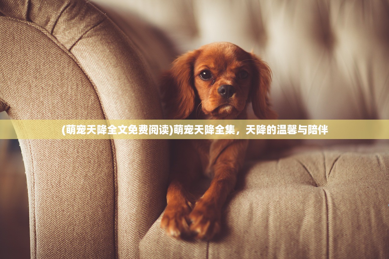 (百龙霸业礼包兑换码)百龙霸业激活码33个,获取、使用与常见问题解答 (百龙霸业礼包兑换码)百龙霸业激活码33个,获取、使用与常见问题解答