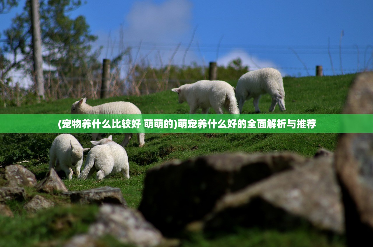 (英雄这边请是哪个公司的游戏)英雄这边请,游戏关服深度解析 (英雄这边请是哪个公司的游戏)英雄这边请,游戏关服深度解析