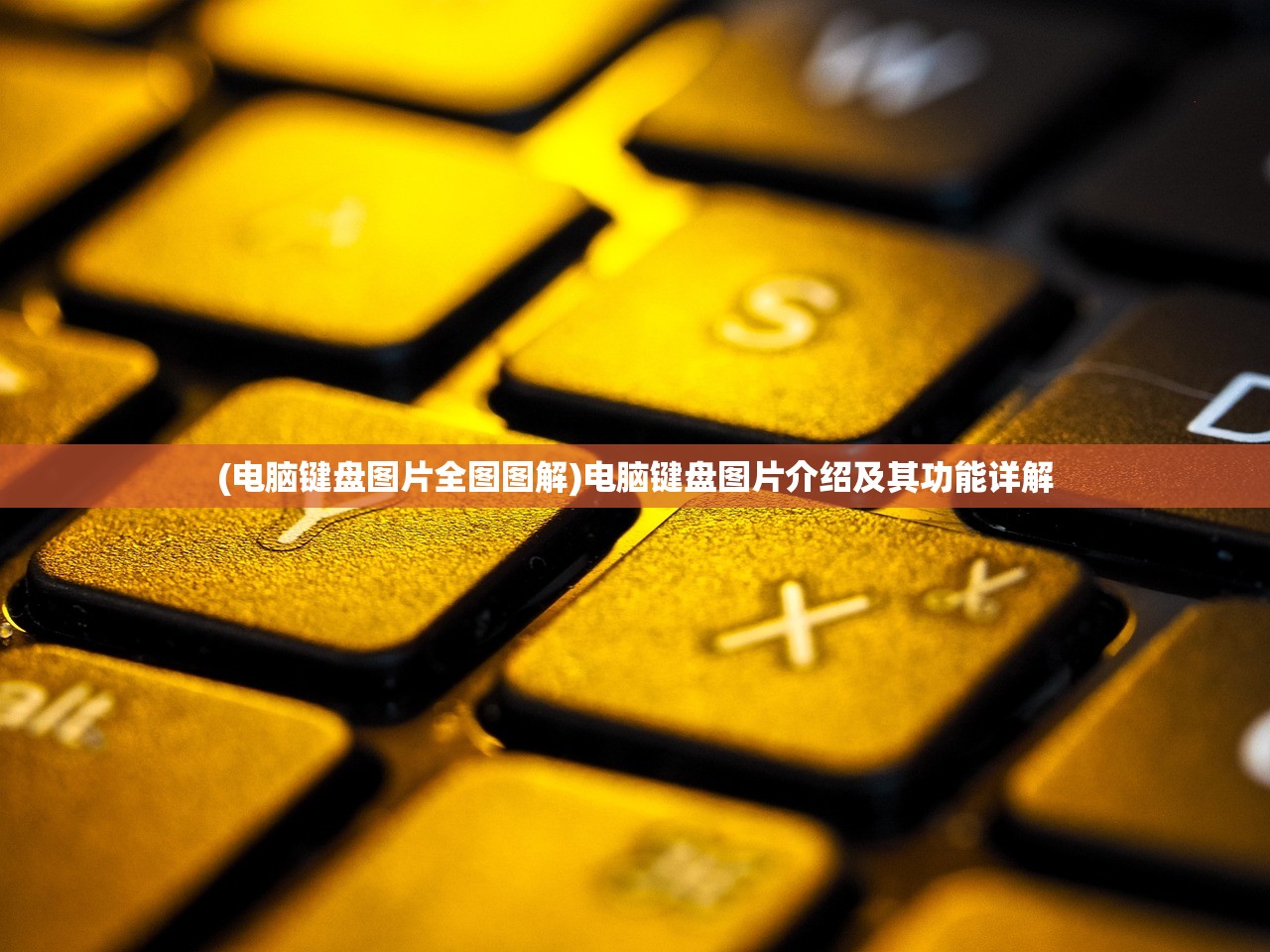(蔚来回应入股)蔚来回应红杉中国退出，资本调整还是战略转型？