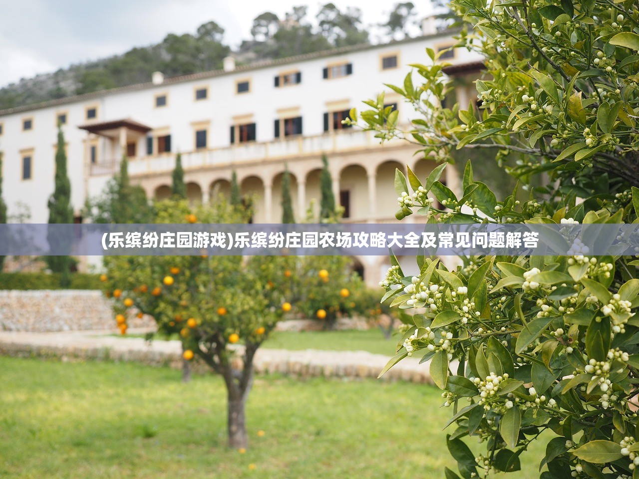 (冠军超音速怎么玩)冠军超音速离线，游戏新纪元