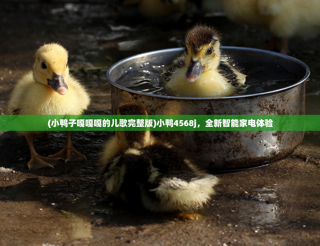 (战火与荣耀魔法之门官网)魔法门之战火与荣耀，荣耀之战背后的奇幻世界探索