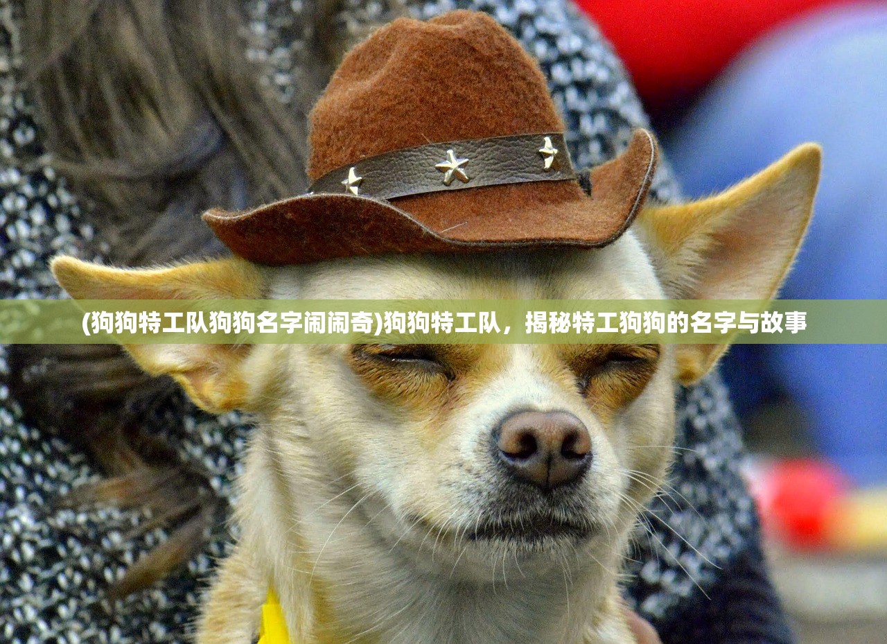 (镇魂街第二季怎么乱七八糟的)镇魂街第二季，热血重燃的守护之旅