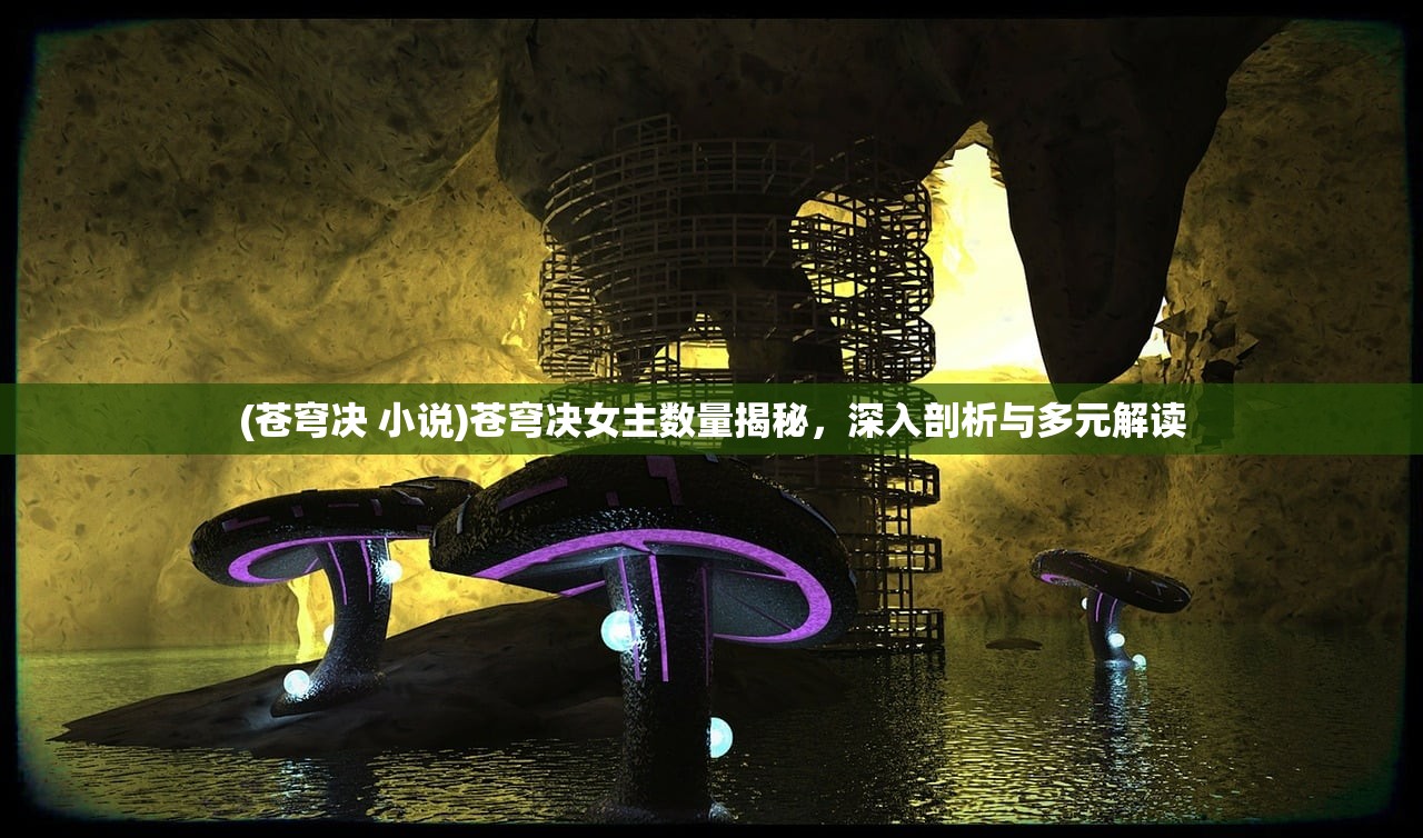 (苍穹决 小说)苍穹决女主数量揭秘,深入剖析与多元解读 (苍穹决 小说)苍穹决女主数量揭秘,深入剖析与多元解读