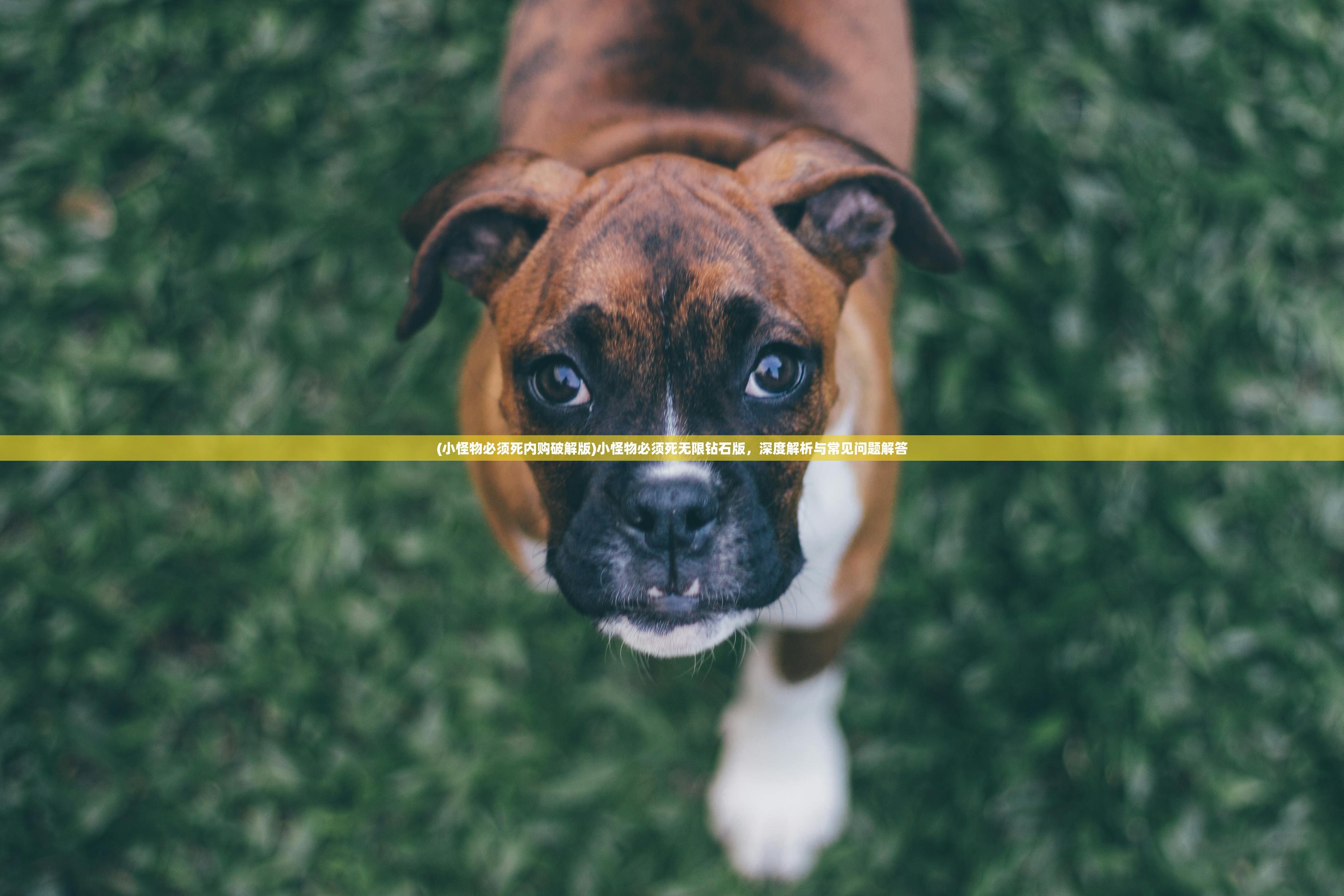 (小怪物必须死内购破解版)小怪物必须死无限钻石版，深度解析与常见问题解答