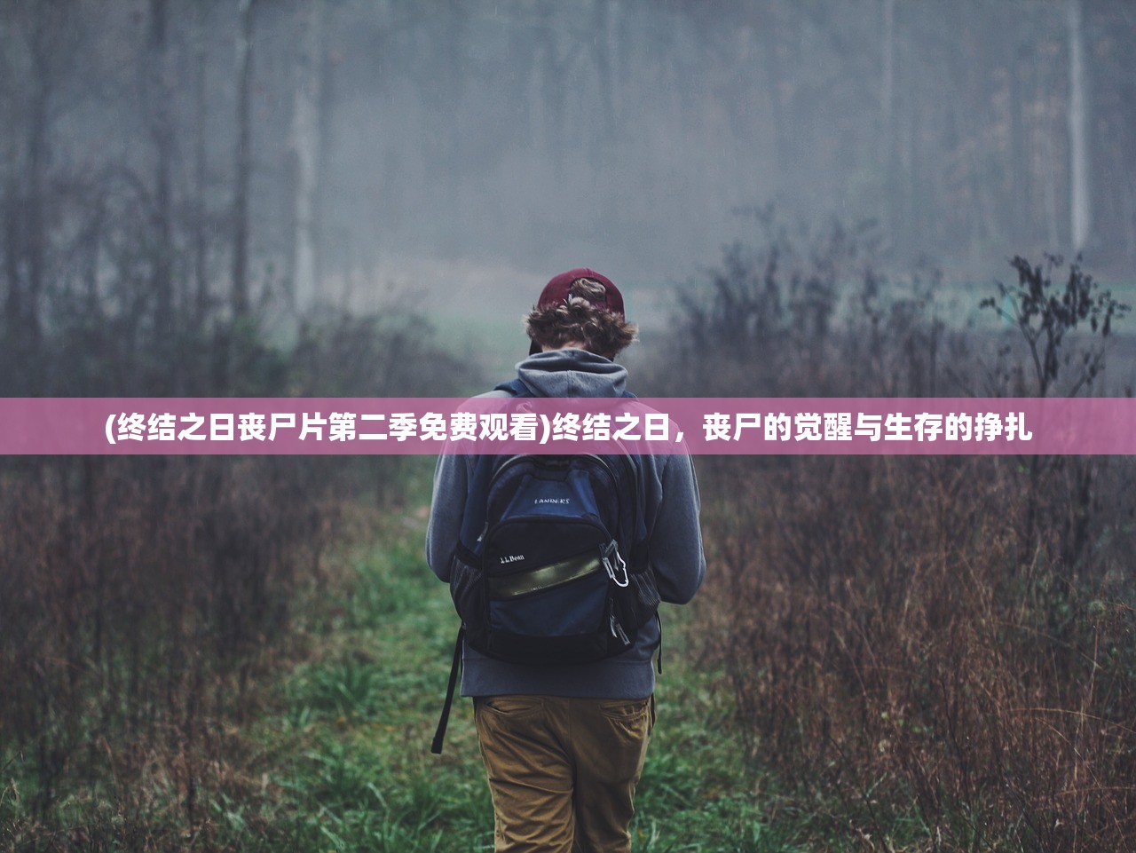 (终结之日丧尸片第二季免费观看)终结之日，丧尸的觉醒与生存的挣扎