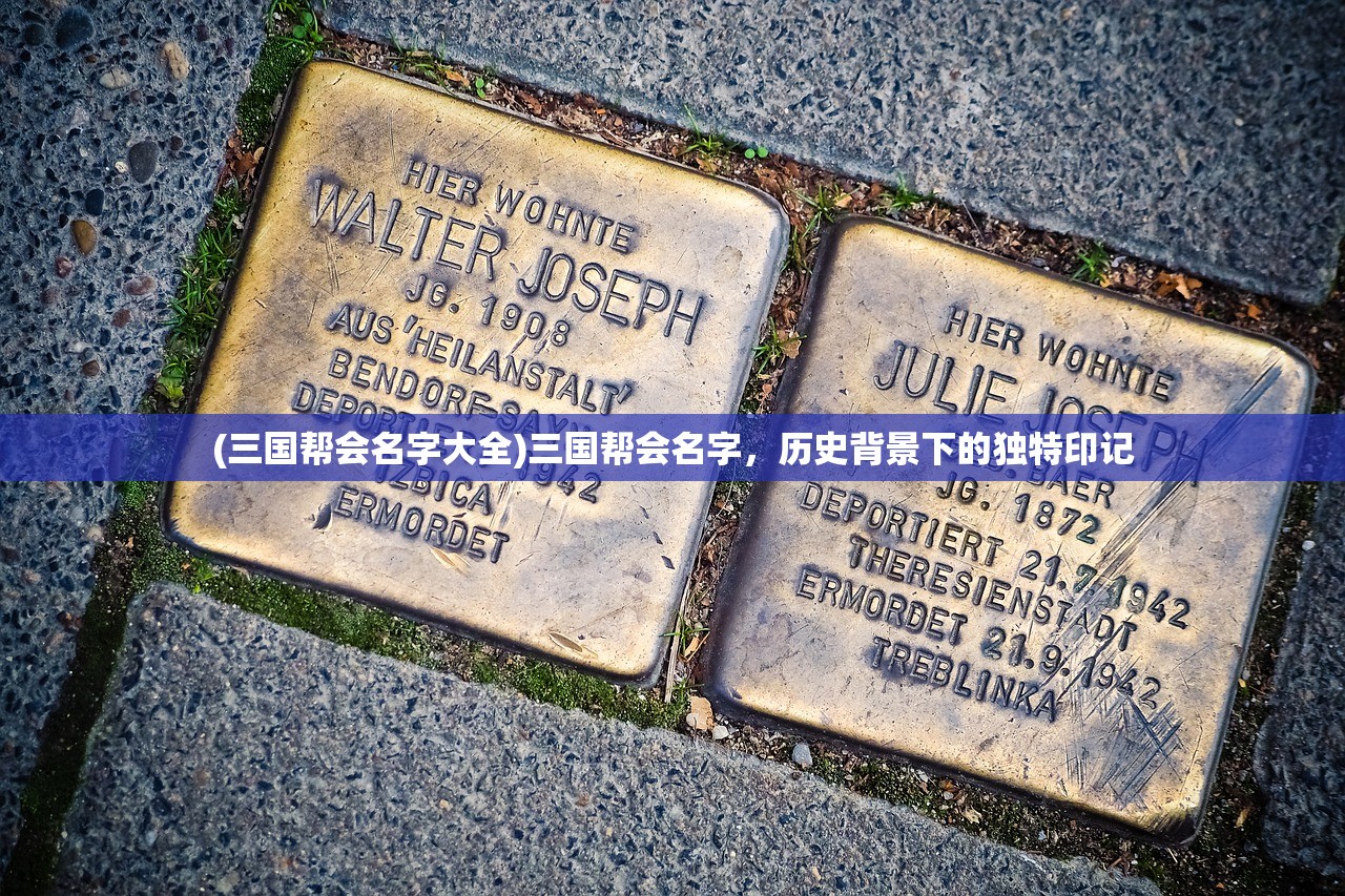 (超进化精灵无限经验版怎么下载)超进化精灵无限经验版，游戏新体验的深度解析