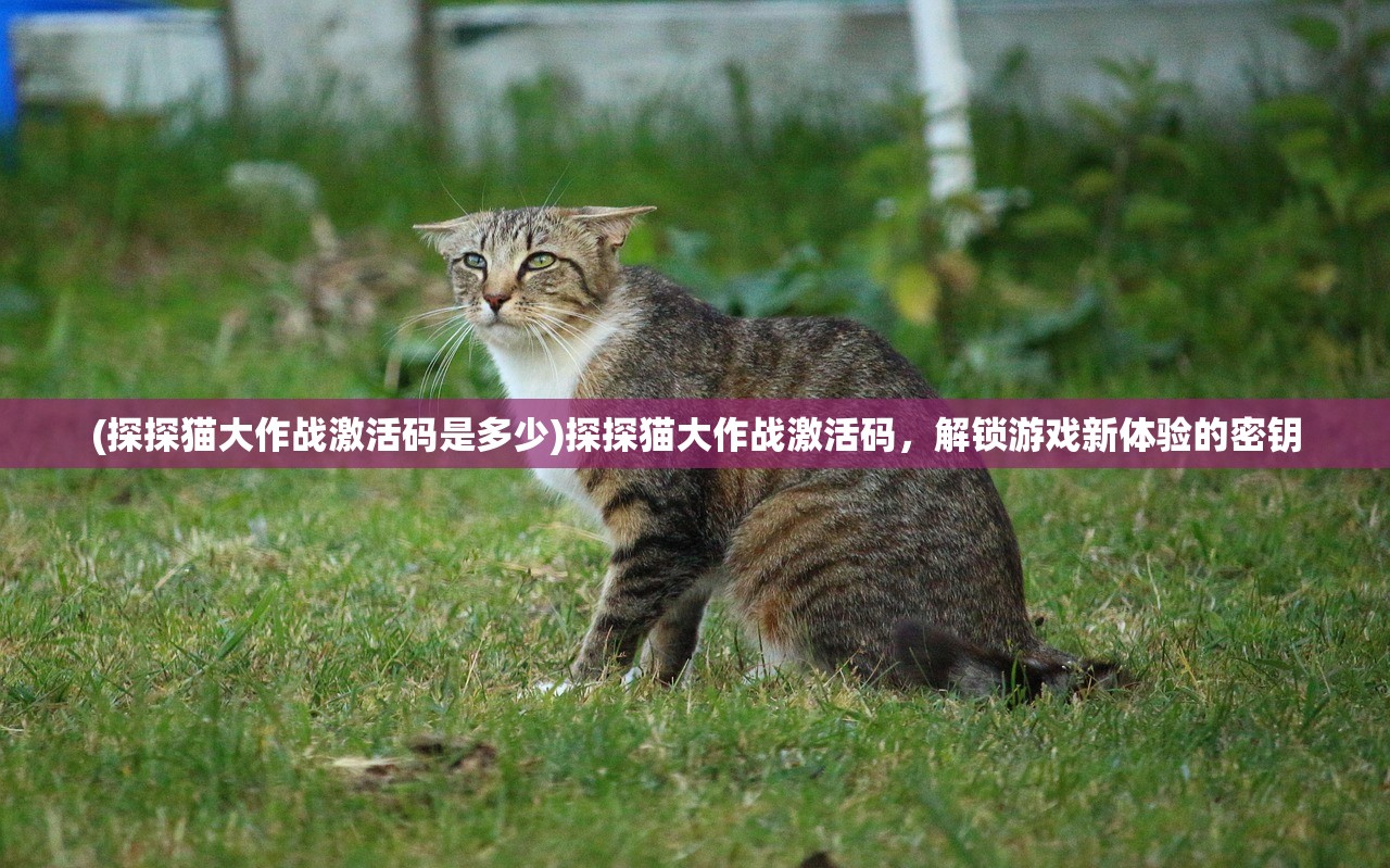 (豆瓣评分9.0以上国产动漫连续剧)豆瓣评分9.0以上国产动漫，探寻优秀之作的旅程