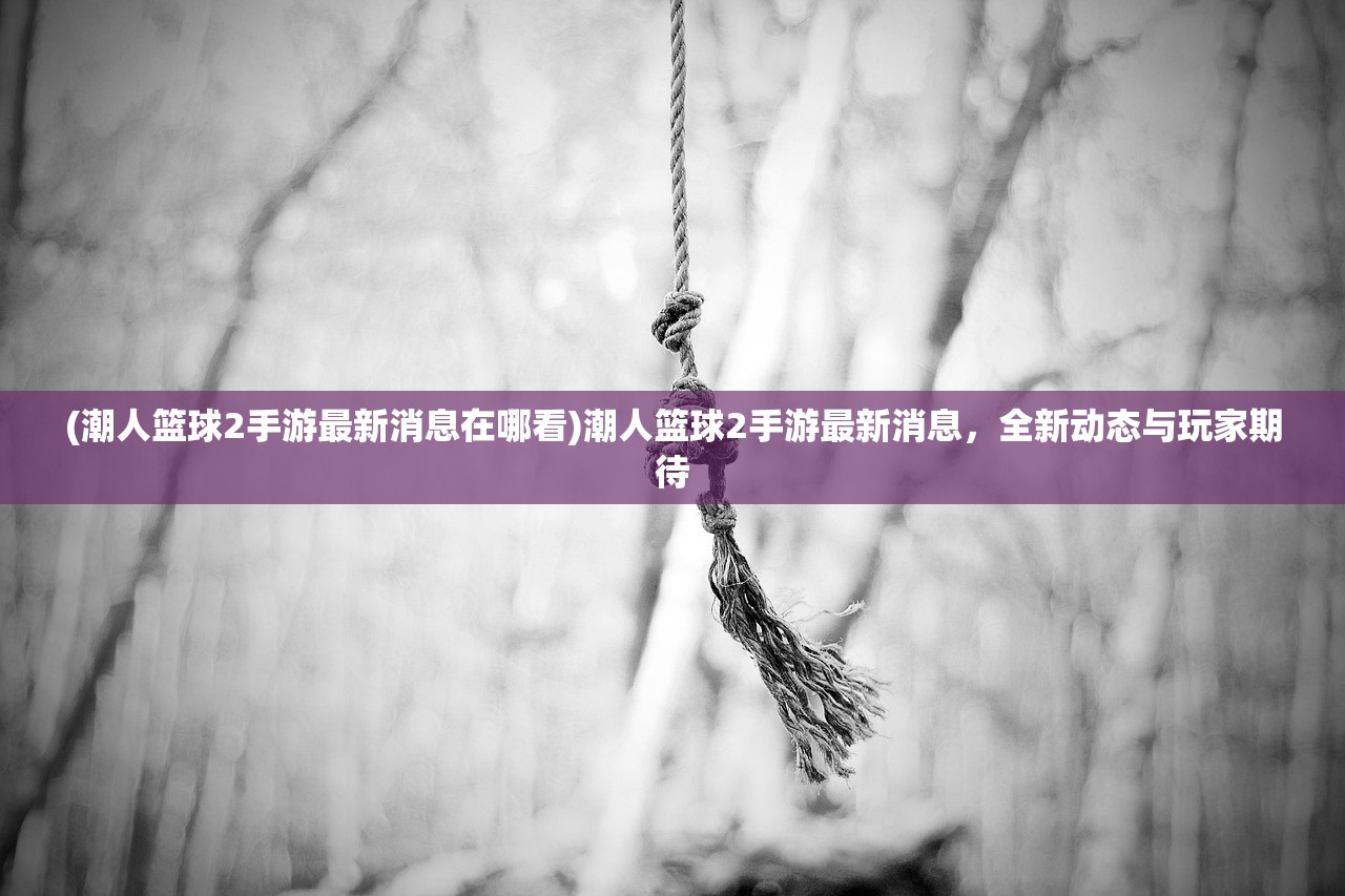 (潮人篮球2手游最新消息在哪看)潮人篮球2手游最新消息，全新动态与玩家期待