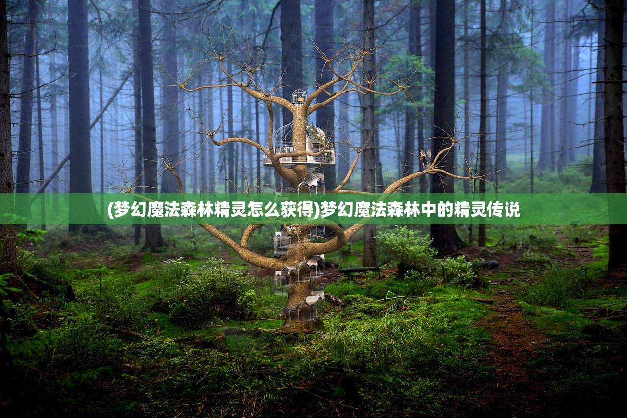 (梦幻魔法森林精灵怎么获得)梦幻魔法森林中的精灵传说