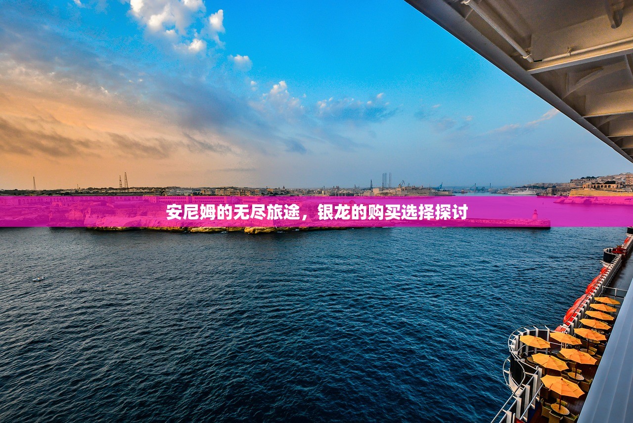 安尼姆的无尽旅途，银龙的购买选择探讨