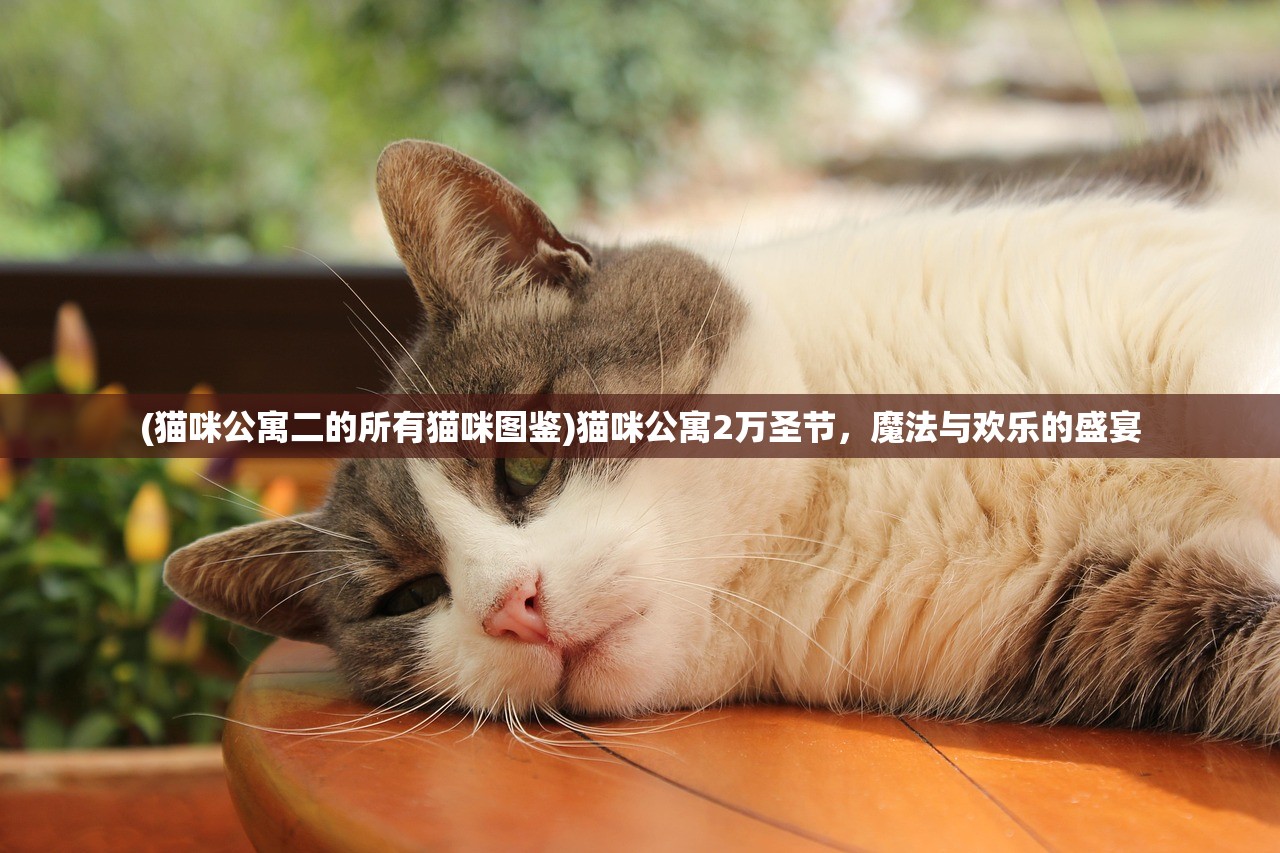 (猫咪公寓二的所有猫咪图鉴)猫咪公寓2万圣节，魔法与欢乐的盛宴