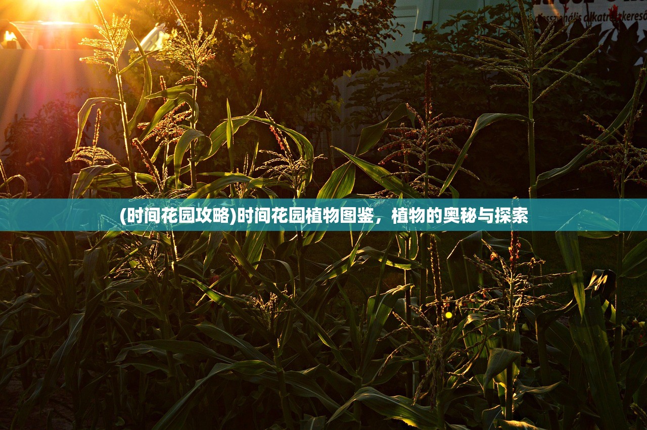 (时间花园攻略)时间花园植物图鉴，植物的奥秘与探索