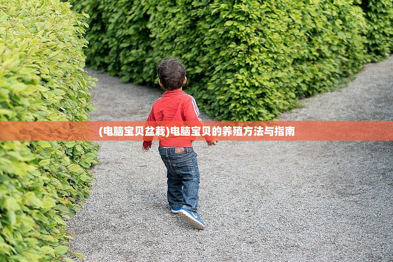 (电脑宝贝盆栽)电脑宝贝的养殖方法与指南