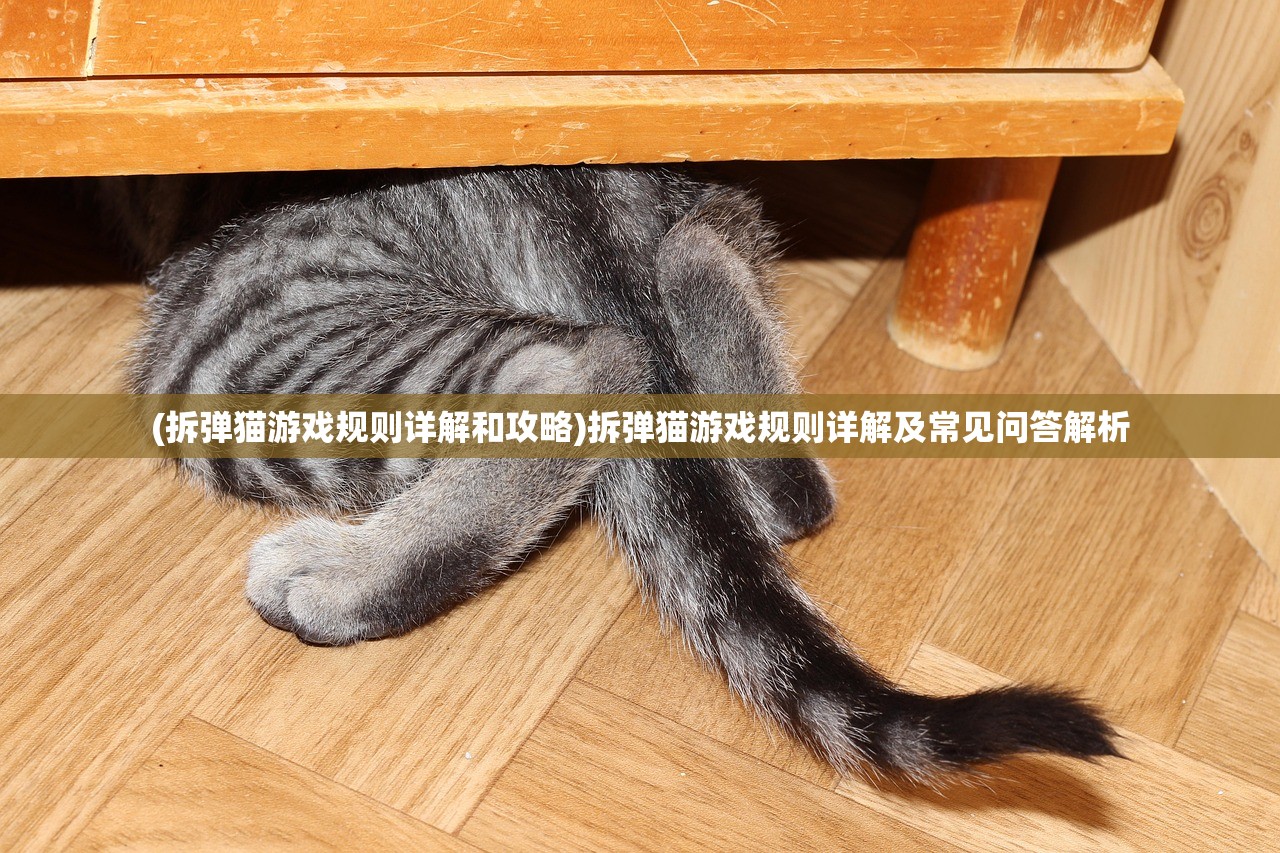 (拆弹猫游戏规则详解和攻略)拆弹猫游戏规则详解及常见问答解析