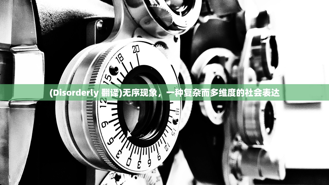 (Disorderly 翻译)无序现象,一种复杂而多维度的社会表达 (Disorderly 翻译)无序现象,一种复杂而多维度的社会表达