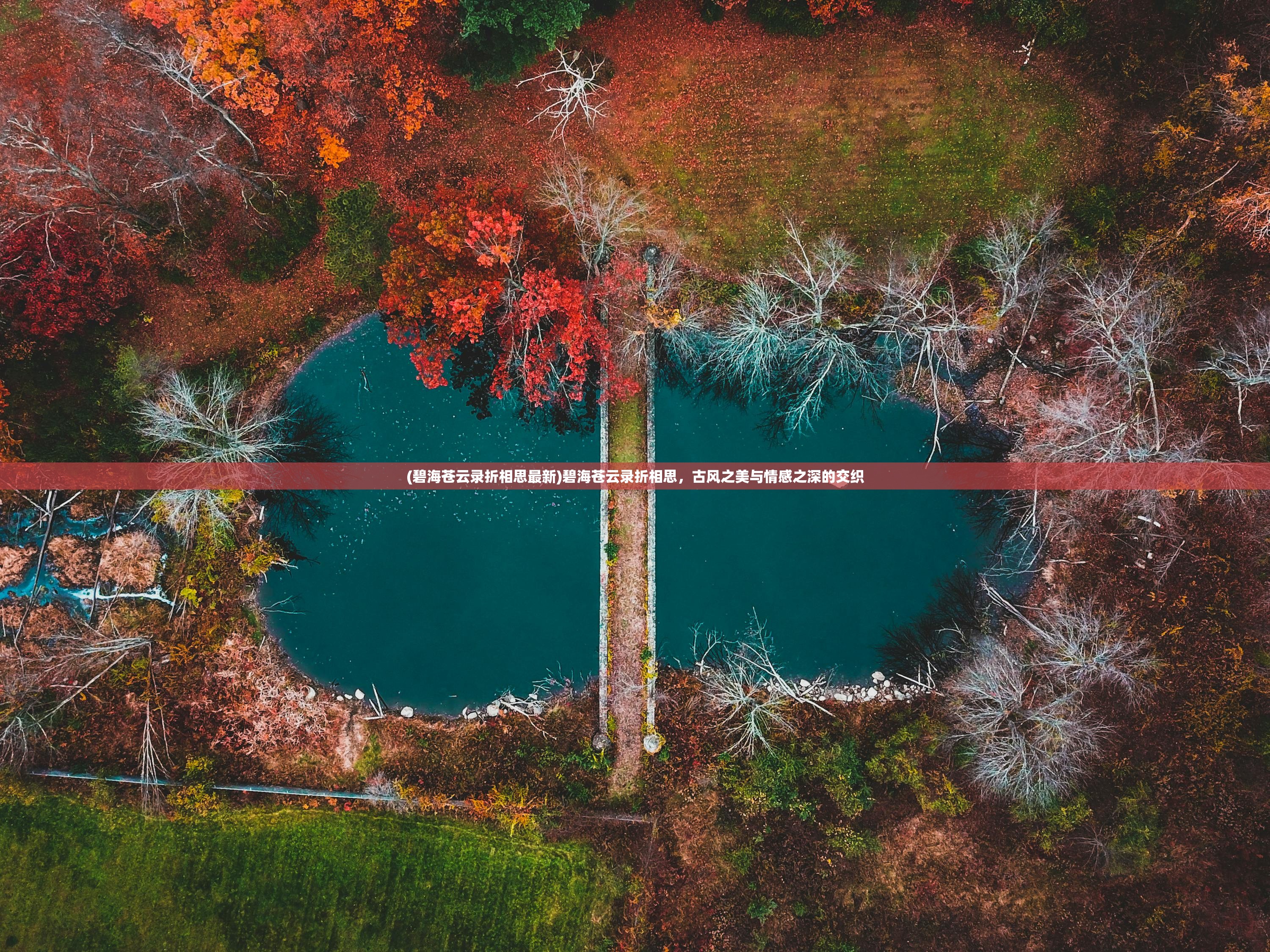 (碧海苍云录折相思最新)碧海苍云录折相思,古风之美与情感之深的交织 (碧海苍云录折相思最新)碧海苍云录折相思,古风之美与情感之深的交织
