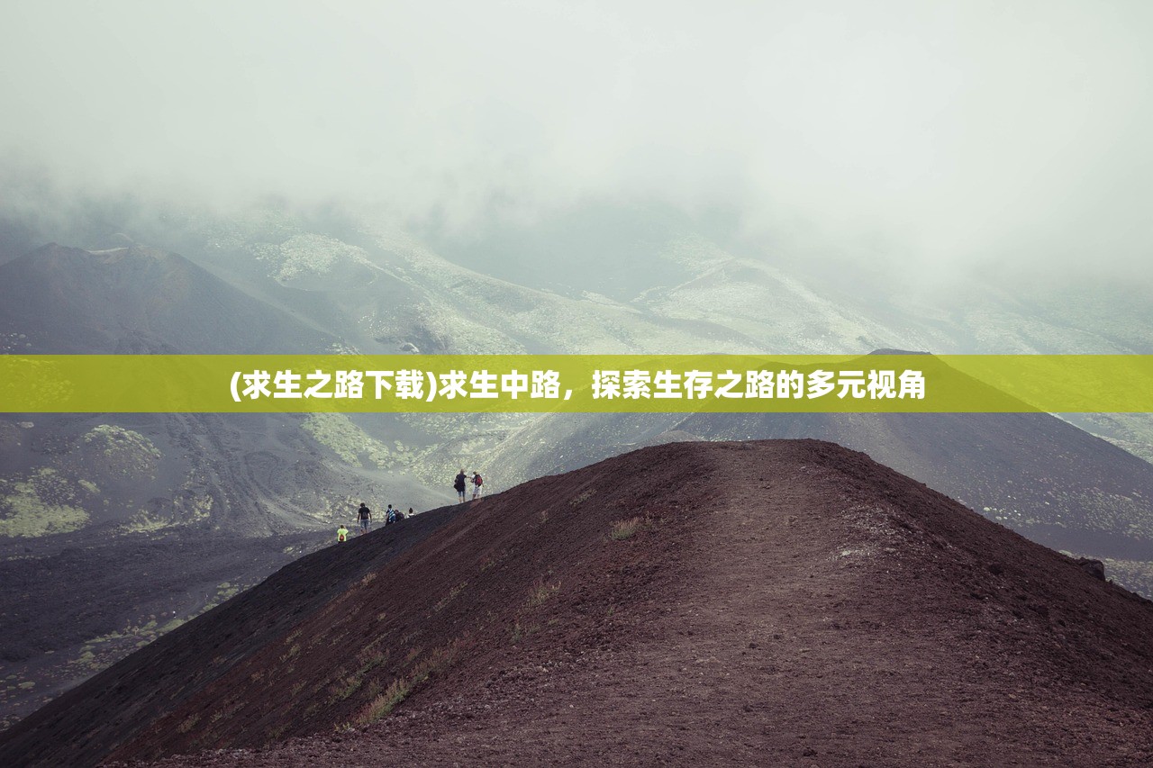 (求生之路下载)求生中路，探索生存之路的多元视角