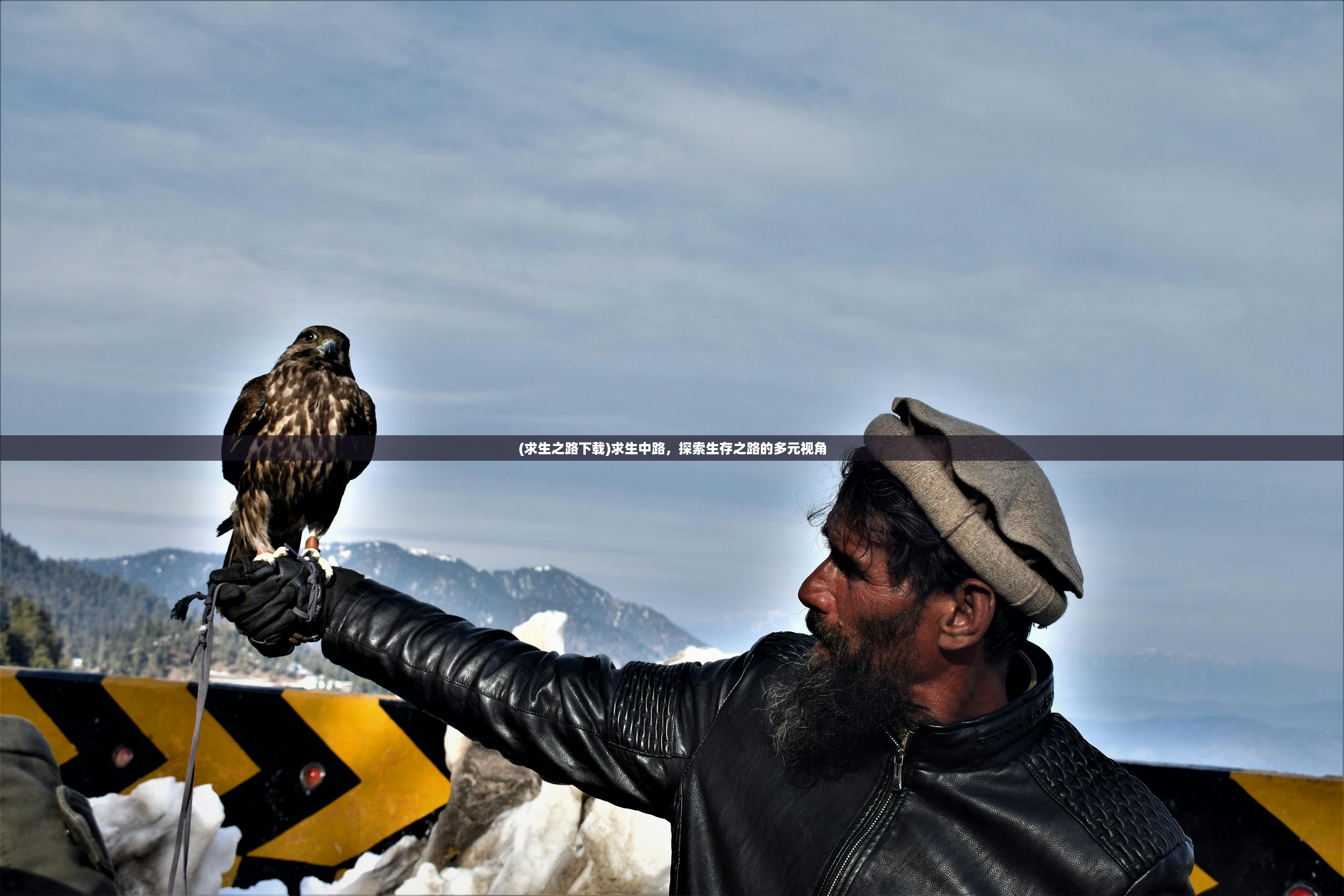 (求生之路下载)求生中路，探索生存之路的多元视角
