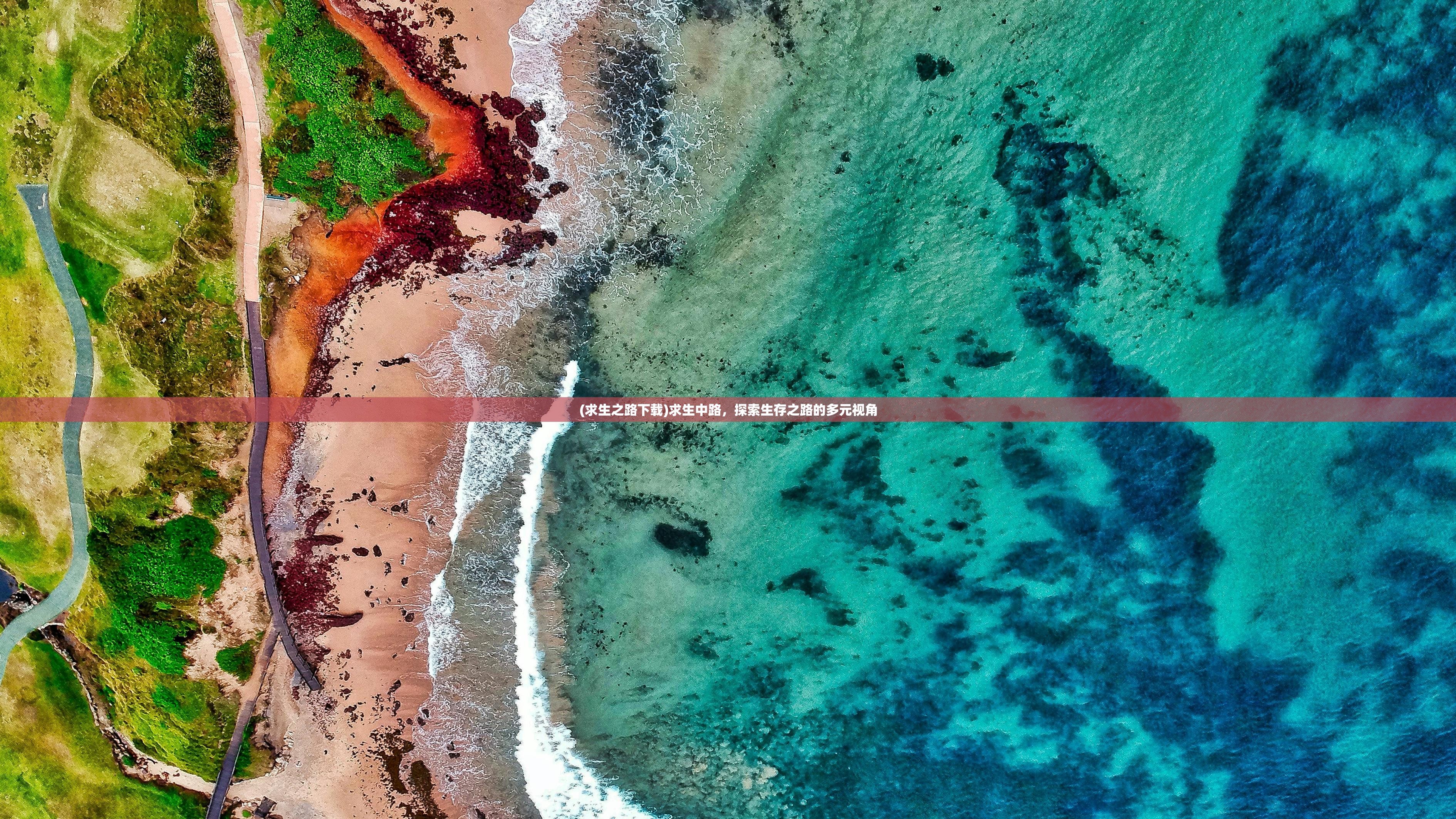 (求生之路下载)求生中路，探索生存之路的多元视角