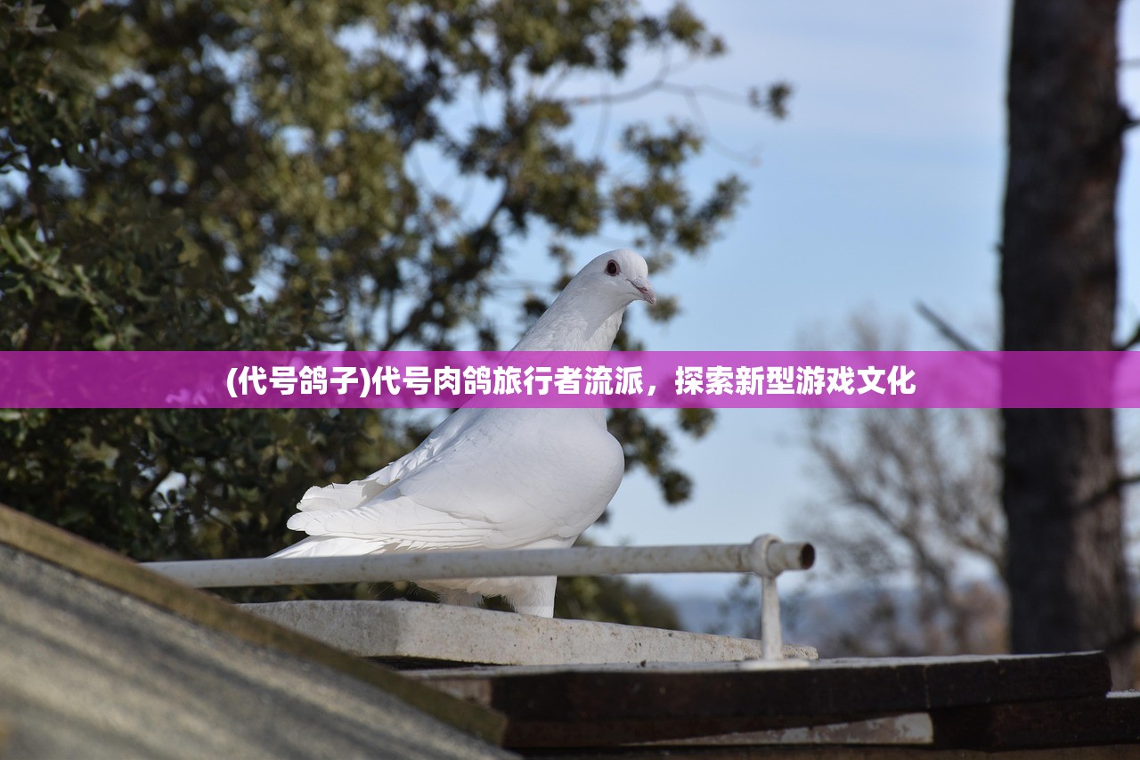 (代号鸽子)代号肉鸽旅行者流派，探索新型游戏文化