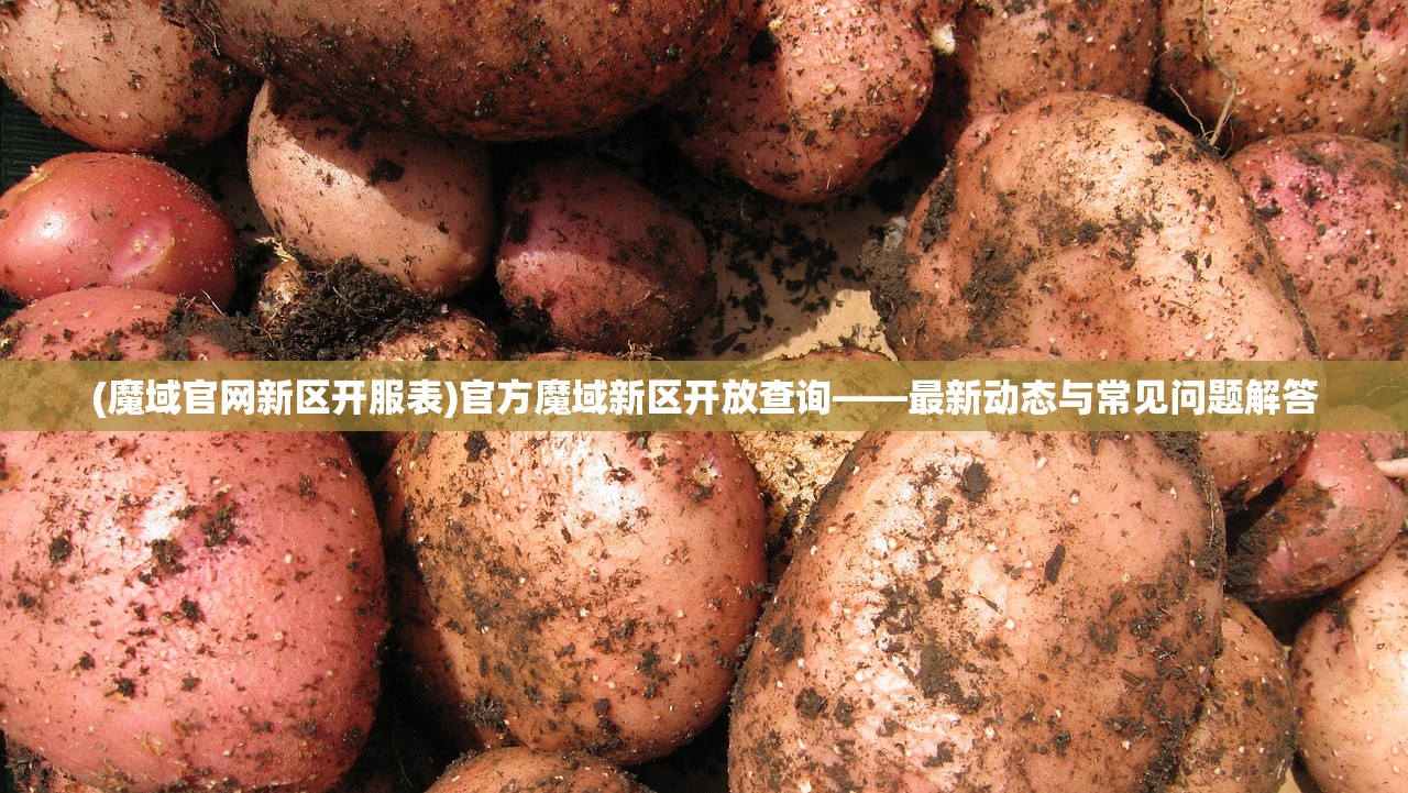 (魔域官网新区开服表)官方魔域新区开放查询——最新动态与常见问题解答