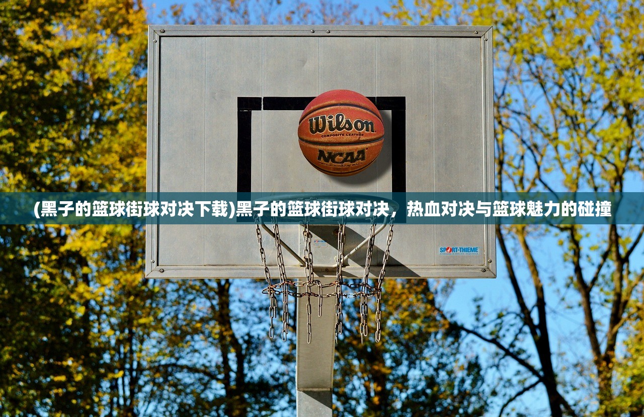 (黑子的篮球街球对决下载)黑子的篮球街球对决,热血对决与篮球魅力的碰撞 (黑子的篮球街球对决下载)黑子的篮球街球对决,热血对决与篮球魅力的碰撞